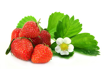 Image showing Strawberries