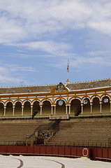 Image showing Seville bullring