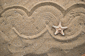 Image showing starfish