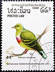 Image showing Treron Bicincta bird stamp.