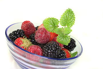 Image showing berries