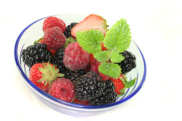 Image showing berries