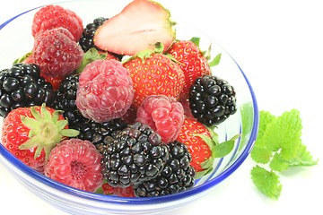 Image showing berries