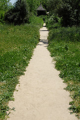 Image showing Foliage-lined path