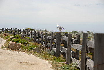 Image showing Fence