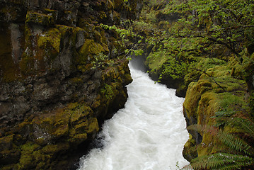 Image showing Ravine