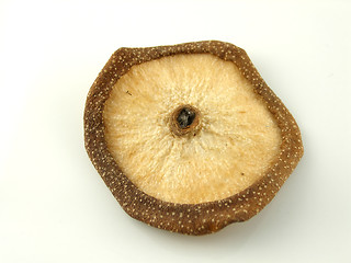 Image showing Asian pear