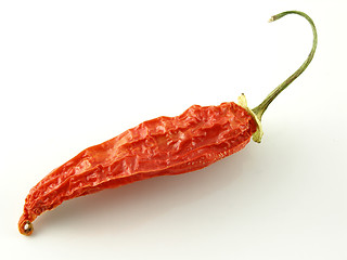 Image showing Aji pepper