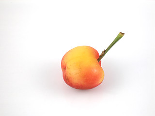 Image showing Cherry