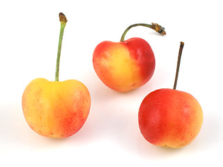 Image showing Cherries