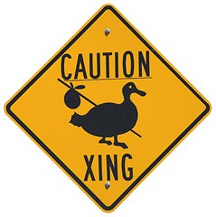 Image showing Caution Goose Crossing