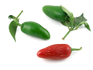 Image showing Red & green jalapeno peppers