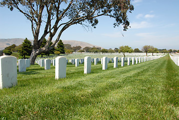 Image showing Military cemetery