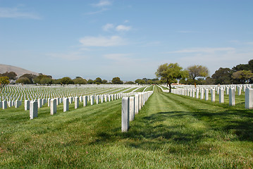 Image showing Military cemetery