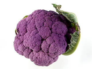 Image showing Cauliflower