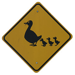 Image showing Duck Crossing