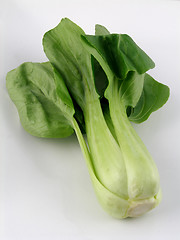 Image showing Bok choi