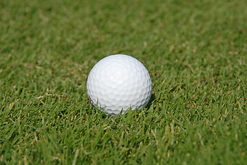 Image showing Golf ball