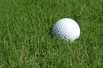 Image showing Golf ball