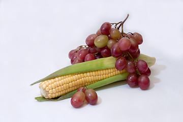 Image showing corn ear and bunch of grapes