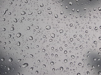 Image showing rain drops