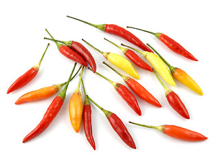 Image showing Cayenne peppers