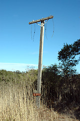 Image showing Utility pole