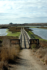 Image showing Footbridge