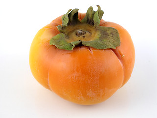 Image showing Persimmon