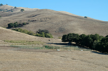 Image showing Mission Peak trail