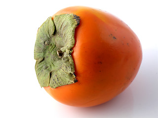 Image showing Persimmon