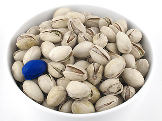 Image showing Blue pistachio