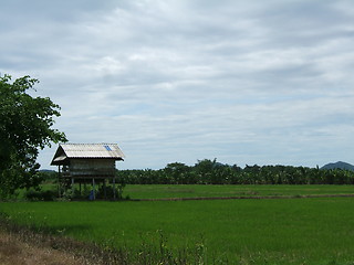 Image showing Asian Lanscape