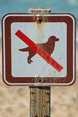 Image showing No Dogs Allowed