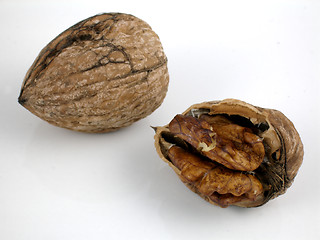 Image showing Walnuts