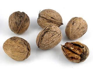 Image showing Walnuts