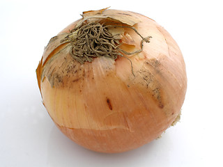 Image showing Onion