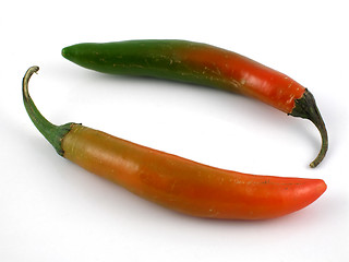 Image showing Serrano peppers