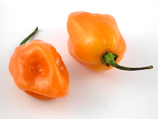 Image showing Habanero peppers