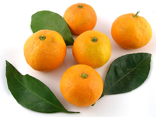 Image showing Satsumas