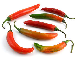 Image showing Serrano peppers