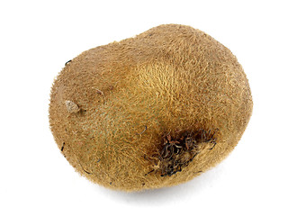 Image showing Kiwi