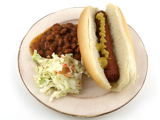 Image showing Hot dog