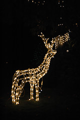 Image showing Christmas lights