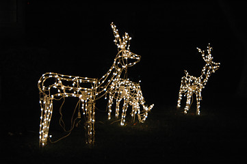 Image showing Christmas lights