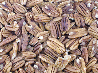 Image showing Pecans