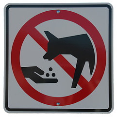 Image showing Don't Feed The Coyotes