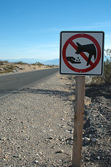 Image showing Don't Feed The Coyotes