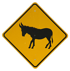 Image showing Donkey Crossing