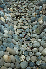 Image showing Rock streambed